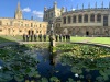 Lily-pond-PB_IMG_4904